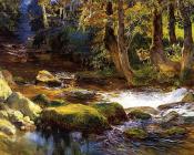 伊莱修 韦德 : Near Perugia